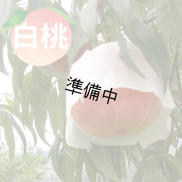 画像1: 白桃 3Kg 2L (1)